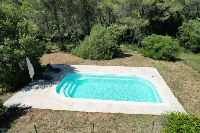 Le Chalet des Papillons 4