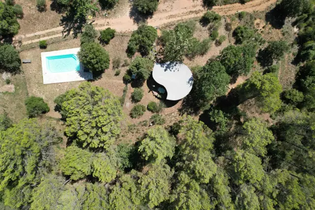 Le Chalet des Papillons 8