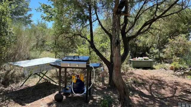 Le Chalet des Papillons 22